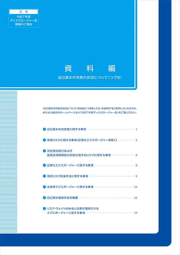 2025年ディスクロージャー別冊