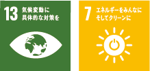 sdgs